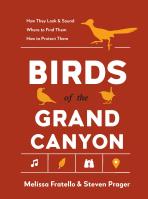 Birds of the Grand Canyon